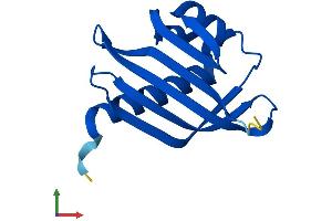 Protein Structure (PS) image for Nuclear Transport Factor 2 (NUTF2) (AA 1-127) protein (His tag) (ABIN7549993)