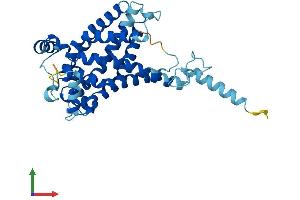 Protein Structure (PS) image for Solute Carrier Family 25, Member 43 (SLC25A43) (AA 1-341) protein (His tag) (ABIN7561861)
