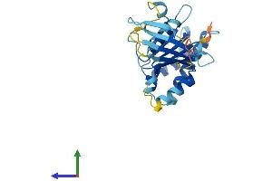 Protein Structure (PS) image for SWIM-Type Zinc Finger 7 Associated Protein 1 (SWSAP1) (AA 1-229) protein (His tag) (ABIN7544069)