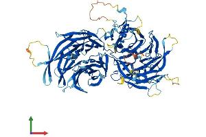 AlphaFold protein structure predicition of Mouse Recombinant Elp2 Protein, UniprotID Q91WG4
