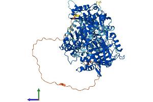 Protein Structure (PS) image for Iron-Responsive Element Binding Protein 2 (IREB2) (AA 1-963) protein (His tag) (ABIN7554177)