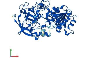 AlphaFold protein structure predicition of Human Recombinant ADH6 Protein, UniprotID P28332
