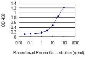 Detection limit for recombinant GST tagged EPYC is 0. (EPYC 抗体  (AA 20-322))