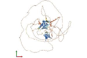 AlphaFold protein structure predicition of Human Recombinant MAPK8IP2 Protein, UniprotID Q13387