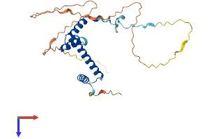 TAF9 Protein (AA 1-264) (His tag)
