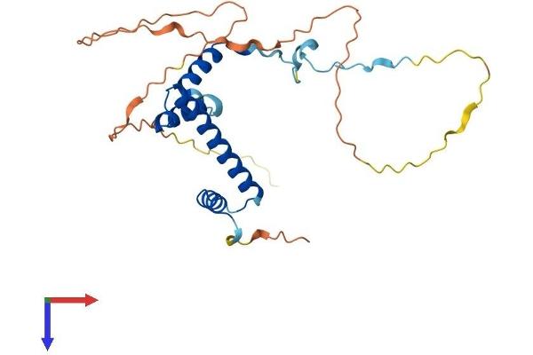 TAF9 Protein (AA 1-264) (His tag)