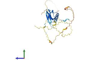 Protein Structure (PS) image for Chromobox Homolog 7 (CBX7) (AA 1-251) protein (His tag) (ABIN7552926)