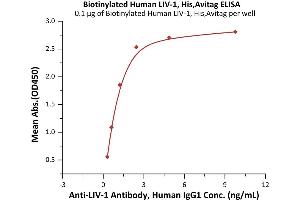 ELISA image for Solute Carrier Family 39 (Zinc Transporter), Member 6 (SLC39A6) (AA 29-325) (Active) protein (His tag,AVI tag,Biotin) (ABIN7013486)