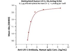 Immobilized Biotinylated Human LIV-1, His,Avitag (ABIN6992406) at 1 μg/mL (100 μL/well) on streptavidin  precoated (0. (SLC39A6 Protein (AA 29-325) (His tag,AVI tag,Biotin))
