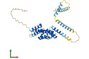 Protein Structure (PS) image for Peroxisomal Biogenesis Factor 26 (PEX26) (AA 1-305) protein (His tag) (ABIN7558561)