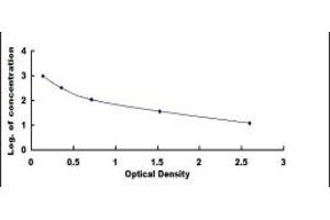 Typical standard curve (FGF7 ELISA 试剂盒)