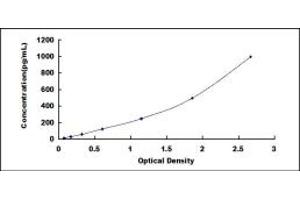 Typical standard curve (GLUL ELISA 试剂盒)