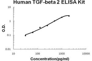 Human TGF-beta 2 PicoKine ELISA Kit standard curve (TGFB2 ELISA 试剂盒)