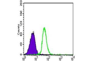 Flow Cytometry (FACS) image for anti-Cadherin 5 (CDH5) (AA 29-223) antibody (ABIN1846316)