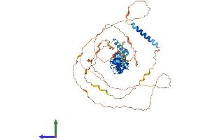 AlphaFold protein structure predicition of Human Recombinant LPP Protein, UniprotID Q93052 (LPP Protein (AA 1-612) (His tag))