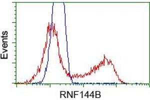 HEK293T cells transfected with either RC209302 overexpress plasmid(Red) or empty vector control plasmid(Blue) were immunostained by anti-RNF144B antibody(TA500711), and then analyzed by flow cytometry. (RNF144B 抗体  (AA 1-256))