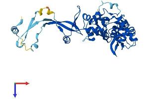 DSCC1 Protein (AA 1-393) (His tag)