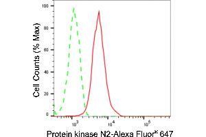 Flow cytometric analysis of Protein kinase N2 expression in HepG2 cells using Protein kinase N2 antibody (ABIN7800006), 1:2,000). (Recombinant PKN2 抗体)
