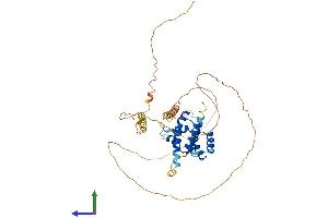 Protein Structure (PS) image for POU Domain, Class 4, Transcription Factor 1 (POU4F1) (AA 1-419) protein (His tag) (ABIN7550946)