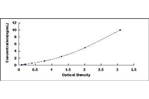 Typical standard curve (Claudin 3 ELISA 试剂盒)