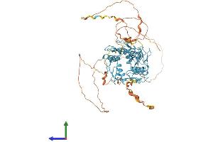 Protein Structure (PS) image for Zinc Finger Protein 48 (ZNF48) (AA 1-618) protein (His tag) (ABIN7545835)