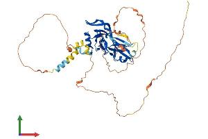 AlphaFold protein structure predicition of Human Recombinant TBX6 Protein, UniprotID O95947