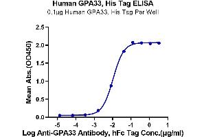 Immobilized Human GPA33, His Tag at 1 μg/mL (100 μL/well) on the plate.