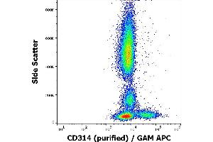 Flow cytometry surface staining pattern of human peripheral blood stained using anti-human CD314 (1D11) purified antibody (concentration in sample 4 μg/mL) GAM APC. (KLRK1 抗体)