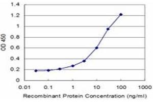 Detection limit for recombinant GST tagged TUBA1A is approximately 0. (TUBA1A 抗体  (AA 352-451))