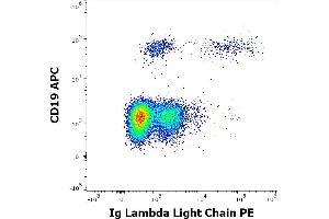 Flow cytometry multicolor surface staining of human lymphocytes stained using anti-human Ig Lambda Light Chain (1-155-2) PE antibody (10 μL reagent / 100 μL of peripheral whole blood) and anti-human CD19 (LT19) APC antibody (10 μL reagent / 100 μL of peripheral whole blood). (Lambda-IgLC 抗体  (PE))