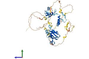 Protein Structure (PS) image for RNA-Binding Region (RNP1, RRM) Containing 3 (RNPC3) (AA 1-517) protein (His tag) (ABIN7551291)