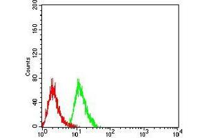 Flow cytometric analysis of Hela cells using LGALS1 mouse mAb (green) and negative control (red). (LGALS1/Galectin 1 抗体  (AA 1-135))