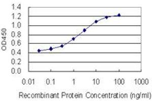 Detection limit for recombinant GST tagged RAB6B is 0. (RAB6B 抗体  (AA 1-208))