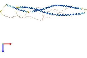 AlphaFold protein structure predicition of Mouse Recombinant Krt82 Protein, UniprotID Q99M74 (Keratin 82 Protein (KRT82) (AA 1-516) (His tag))