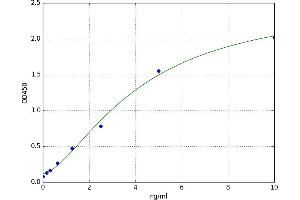 A typical standard curve