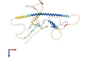 AlphaFold protein structure predicition of Human Recombinant ZC2HC1C Protein, UniprotID Q53FD0
