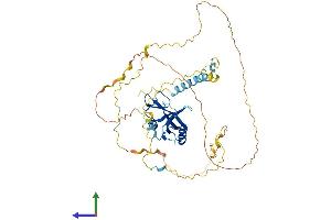 AlphaFold protein structure predicition of Mouse Recombinant Blnk Protein, UniprotID Q9QUN3