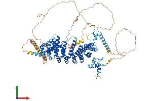 AlphaFold protein structure predicition of Mouse Recombinant Terb1 Protein, UniprotID Q8C0V1
