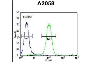 G4 Antibody (Center ) (ABIN6243193 and ABIN6578923) flow cytometric analysis of  cells (right histogram) compared to a negative control cell (left histogram). (PA2G4 抗体  (AA 228-255))