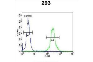 Flow Cytometry (FACS) image for anti-Melanocortin 2 Receptor Accessory Protein (MRAP) antibody (ABIN3004408) (MRAP 抗体)