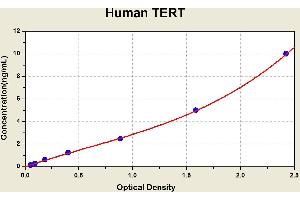 Telomerase Reverse Transcriptase (TERT) ELISA Kit