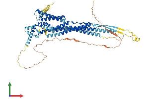 Protein Structure (PS) image for Osteoclast Stimulatory Transmembrane Protein (OCSTAMP) (AA 1-566) protein (His tag) (ABIN7554828)