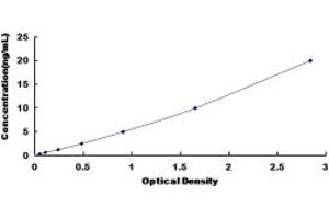 Typical standard curve (STX2 ELISA 试剂盒)