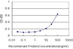 Detection limit for recombinant GST tagged SUMF2 is approximately 3ng/ml as a capture antibody. (SUMF2 抗体  (AA 26-125))