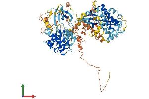 AlphaFold protein structure predicition of Mouse Recombinant Rps6ka4 Protein, UniprotID Q9Z2B9