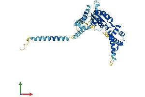 Protein Structure (PS) image for ATPase Family, AAA Domain Containing 1 (ATAD1) (AA 1-361) protein (His tag) (ABIN7561020)