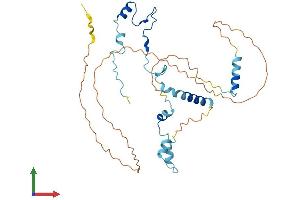 Protein Structure (PS) image for PIN2/TERF1 Interacting, Telomerase Inhibitor 1 (PINX1) (AA 1-332) protein (His tag) (ABIN7560807)