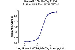 Immobilized Mouse IL-17A, His Tag at 1 μg/mL (100 μL/well) on the plate.