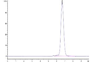 The purity of Human FGFR3 alpha (IIIc) is greater than 95 % as determined by SEC-HPLC.