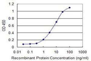 Detection limit for recombinant GST tagged RRN3 is 0. (RRN3 抗体  (AA 525-631))